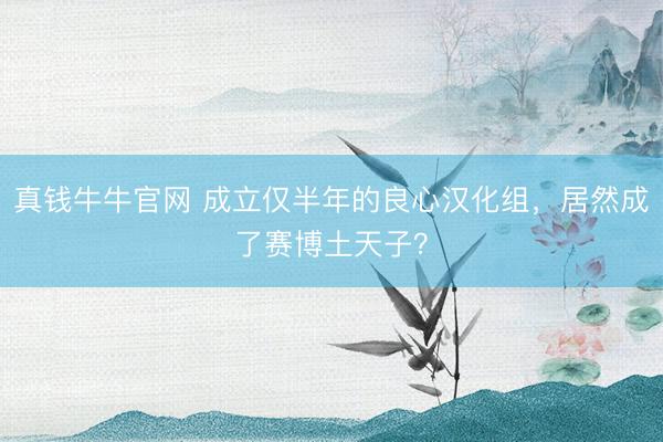 真钱牛牛官网 成立仅半年的良心汉化组，居然成了赛博土天子？